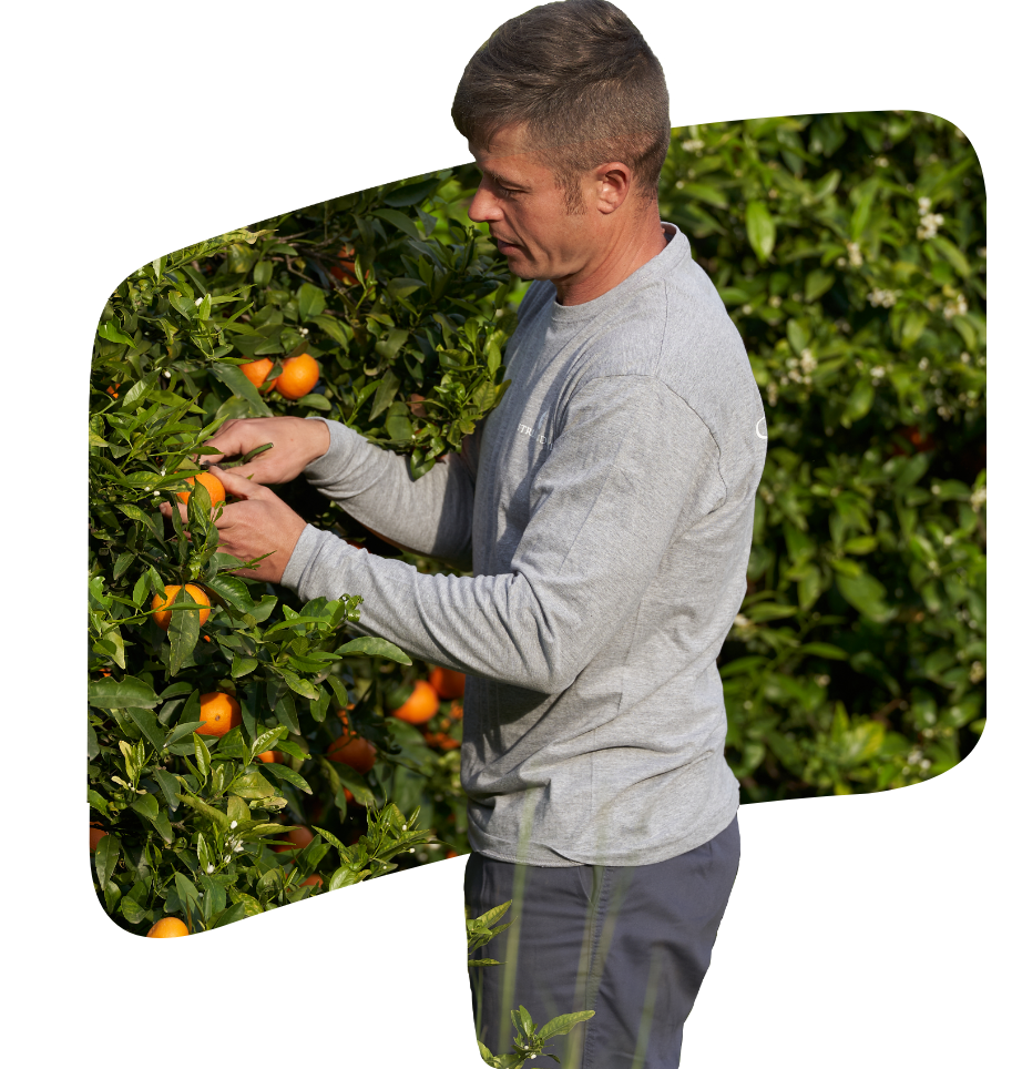 Agricultor | Samaná