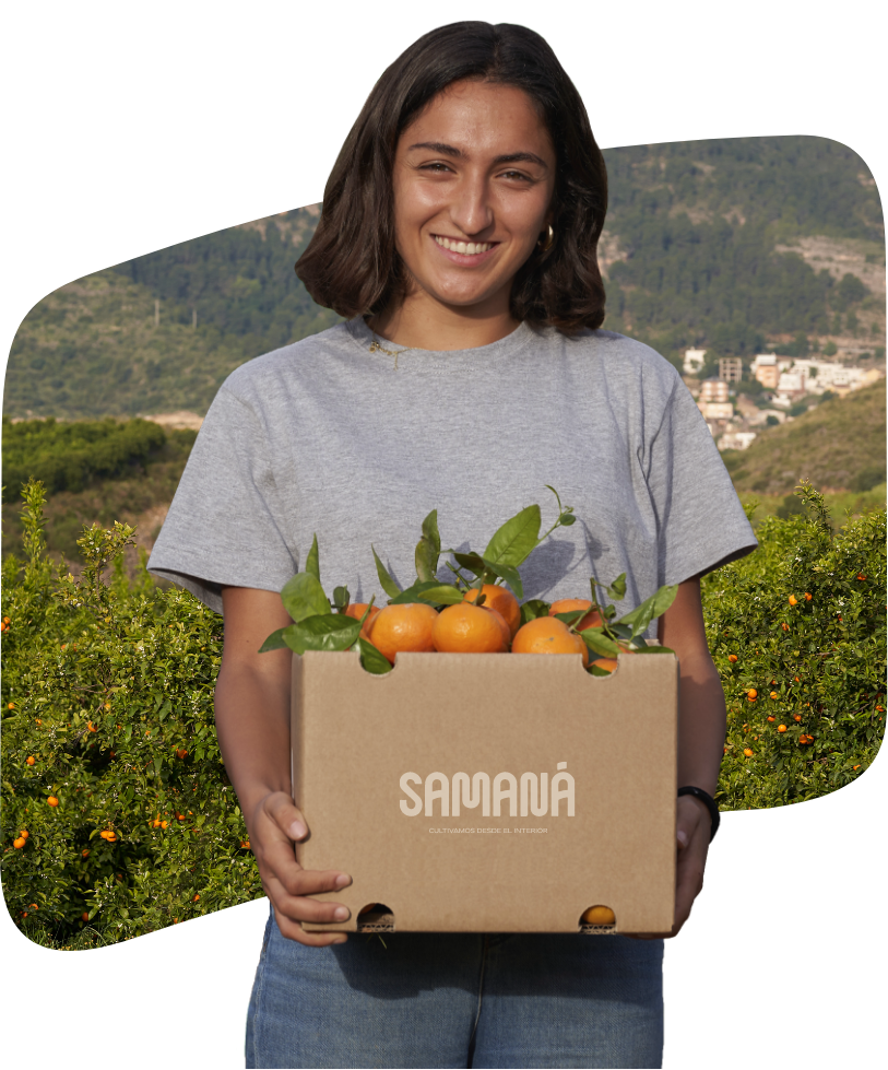 Samaná | Campo de naranjas